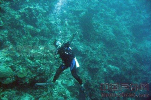 水星家纺:首次回购60.44万股