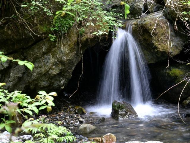 组装机械恐龙3