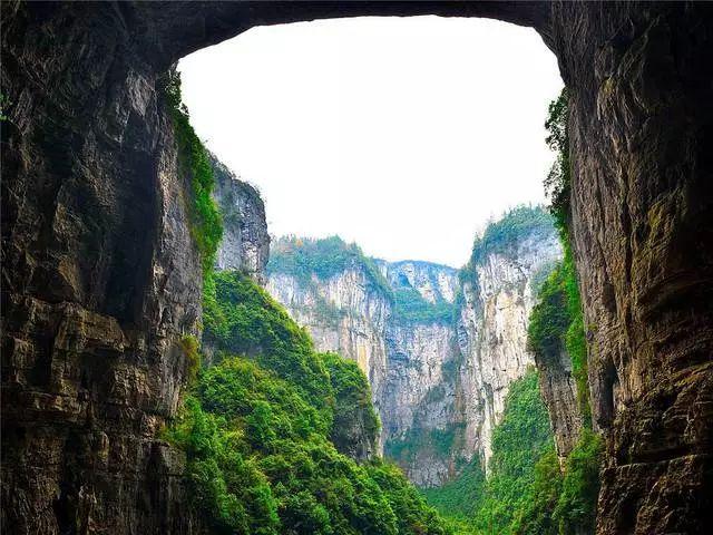 鲜奶运输车找不同